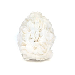Rose Petal Clutch Bag - Pearl White | NEMILDN